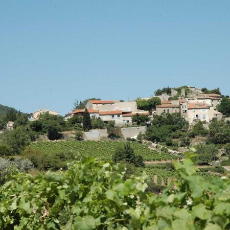Cecile Villa Montgaillard  Buitenkant foto