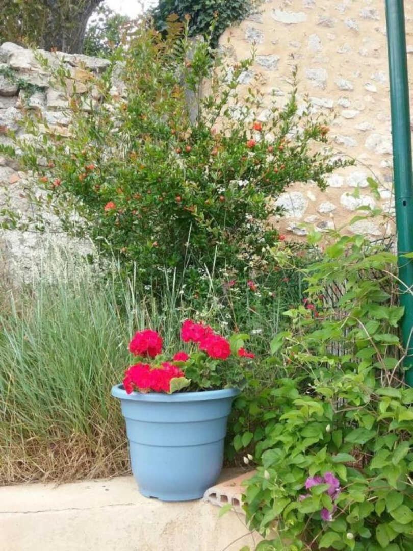 Cecile Villa Montgaillard  Buitenkant foto