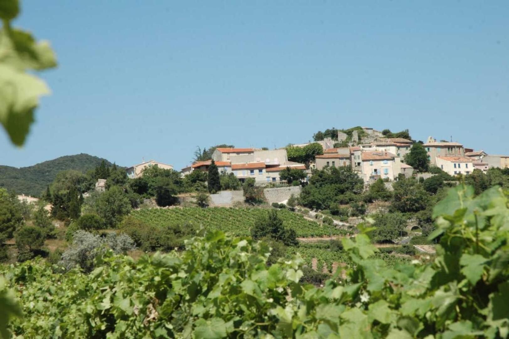 Cecile Villa Montgaillard  Buitenkant foto