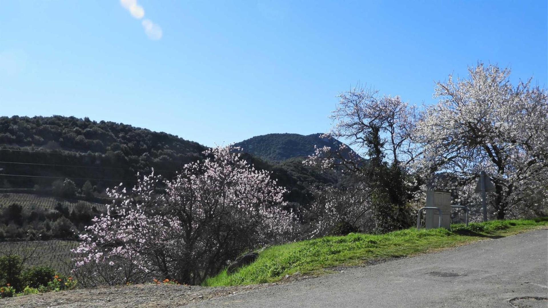 Cecile Villa Montgaillard  Buitenkant foto